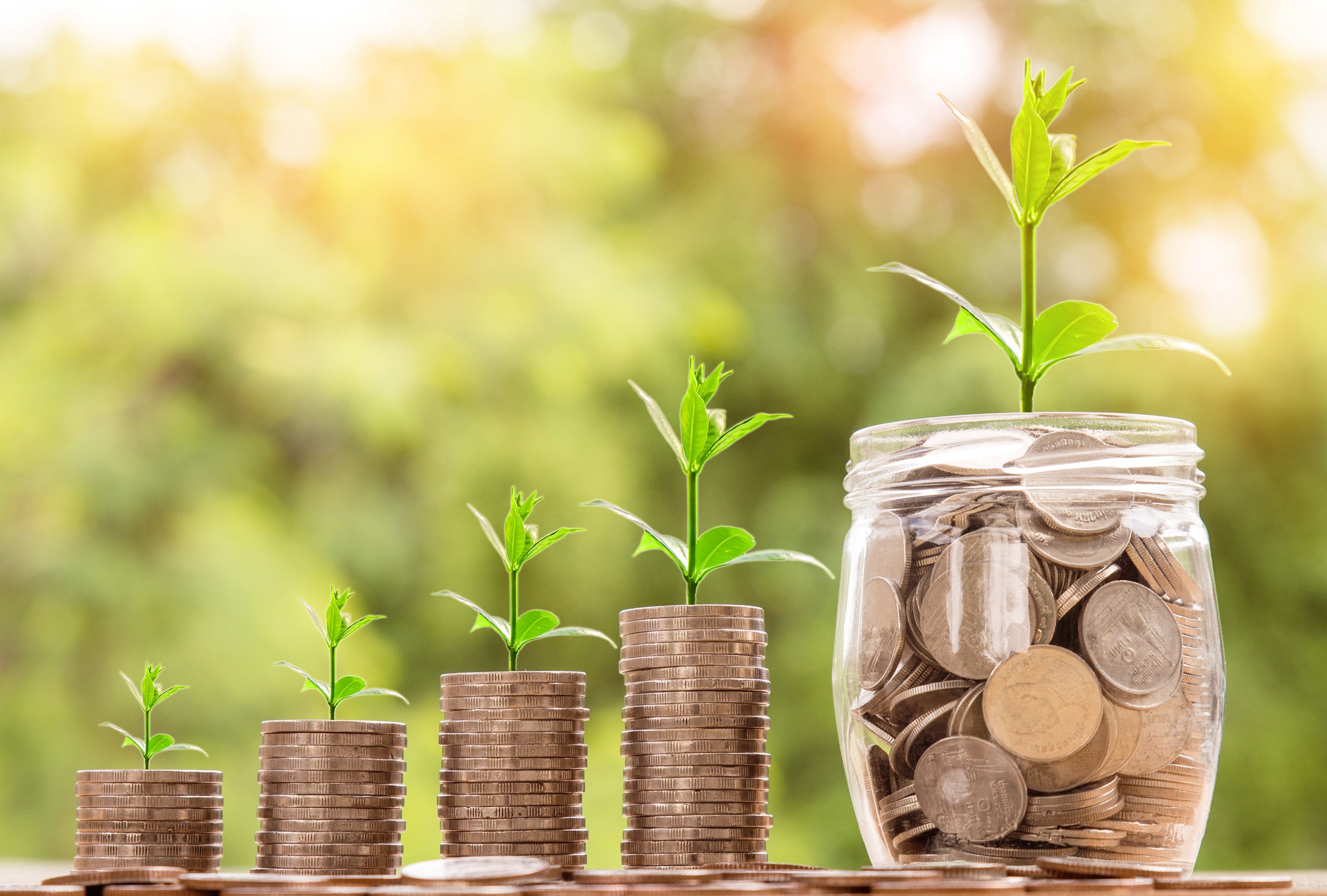 Nomination option & the free ECCU insurance